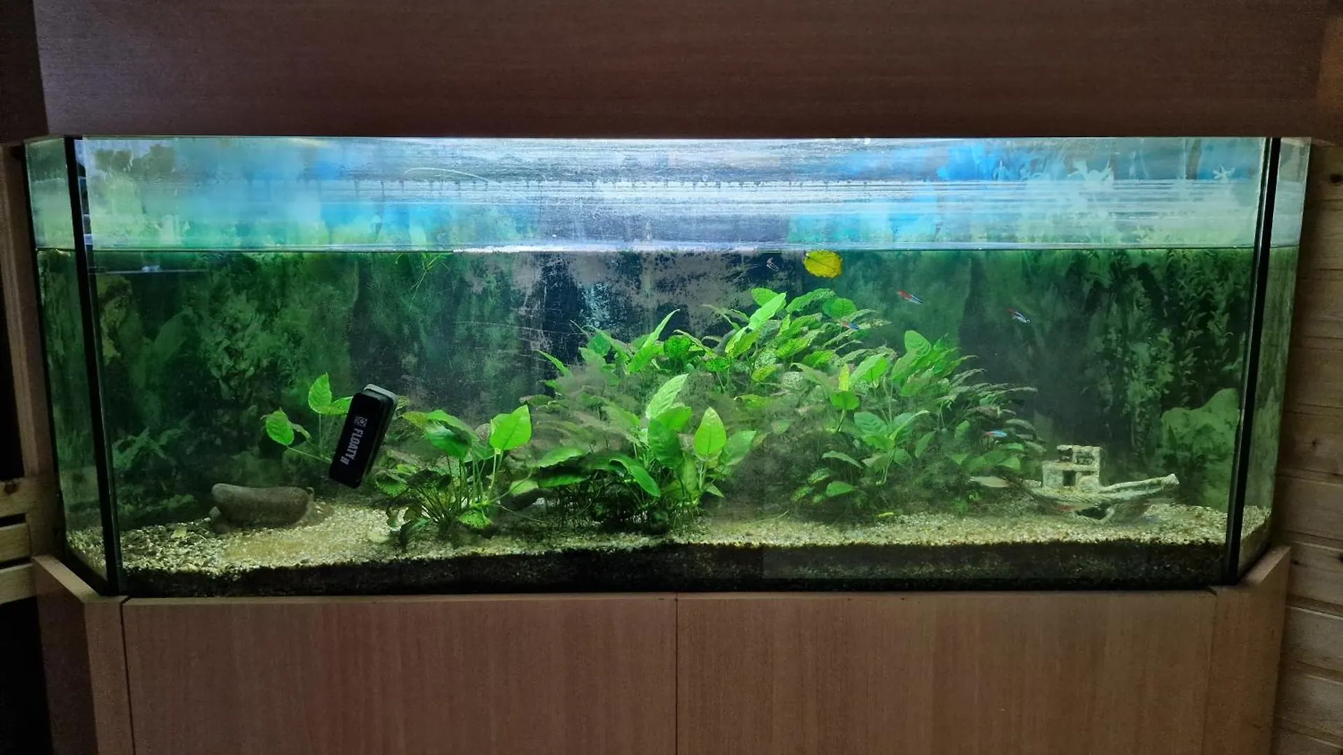 بيت للعطل Nahe Berlin 224Qm Traumhaus Im Gruenen Mit Sauna Und Kamin